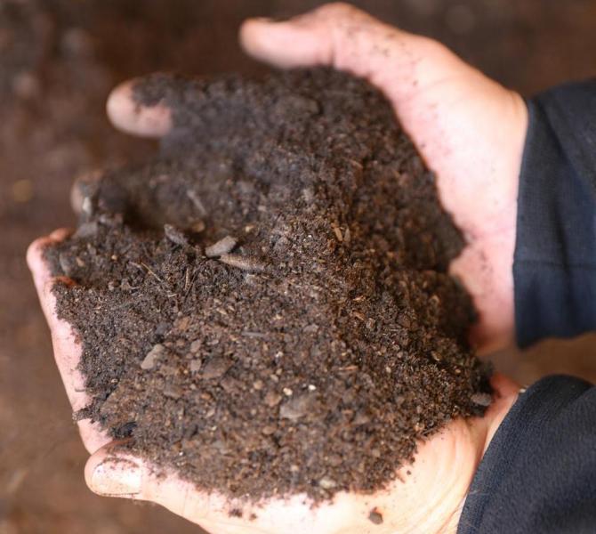 Best Soils For Trees and Shrubs