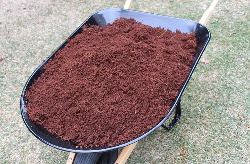 Best Soils For Trees and Shrubs